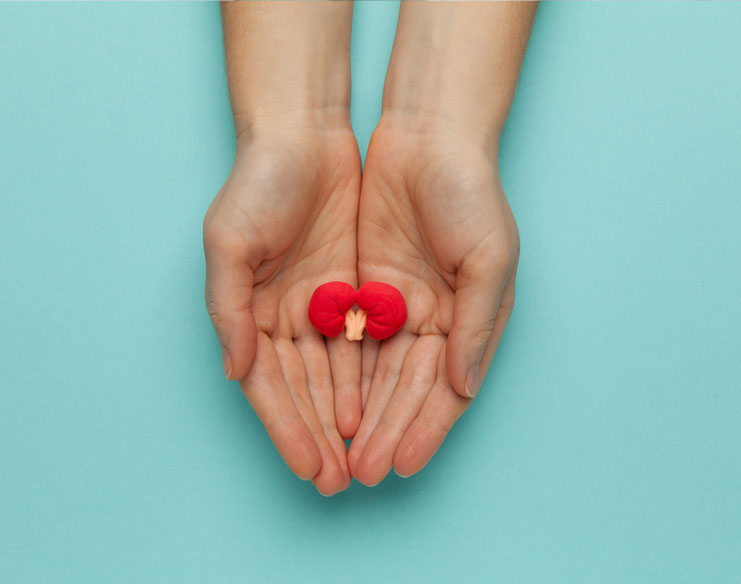 Tips to Help You Pass a Kidney Stone